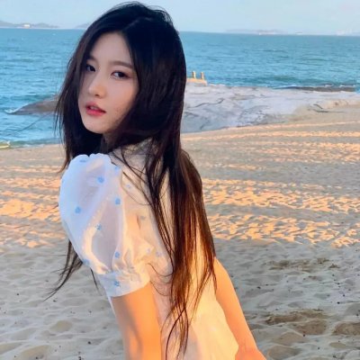 惹不起的宫主大人